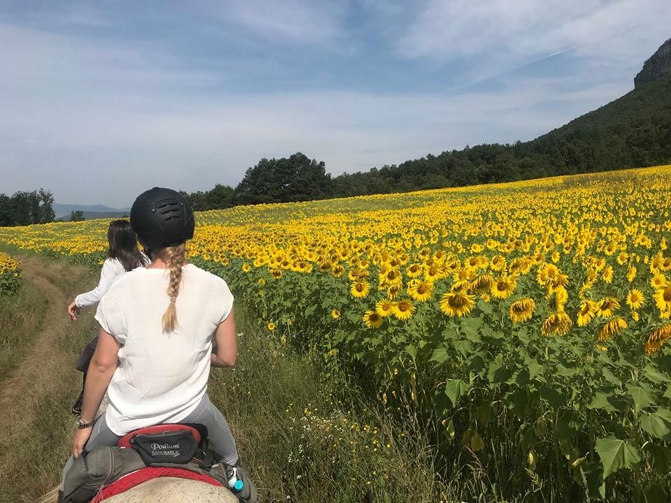 Central Balkan National Park - horseXperiences™ GO EQUESTRIAN