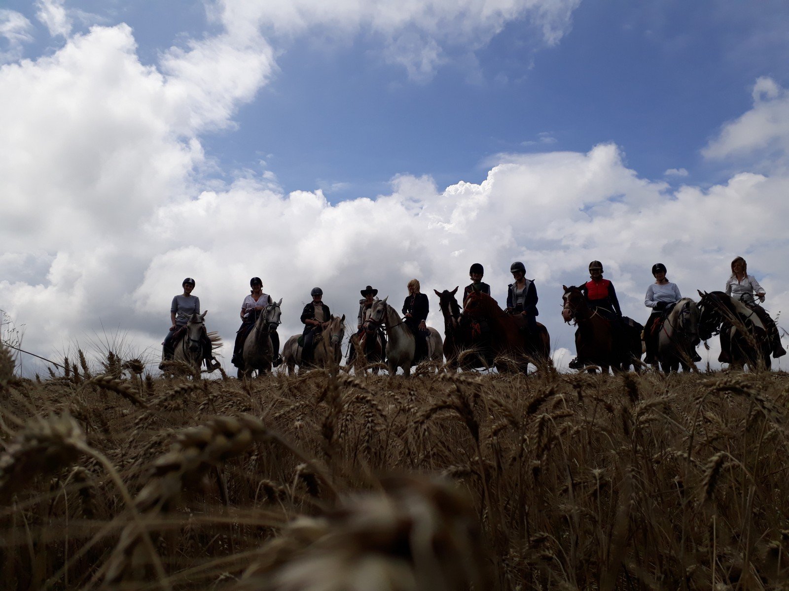 Magic Caves, Waterfalls & Castles - horseXperiences™ GO EQUESTRIAN