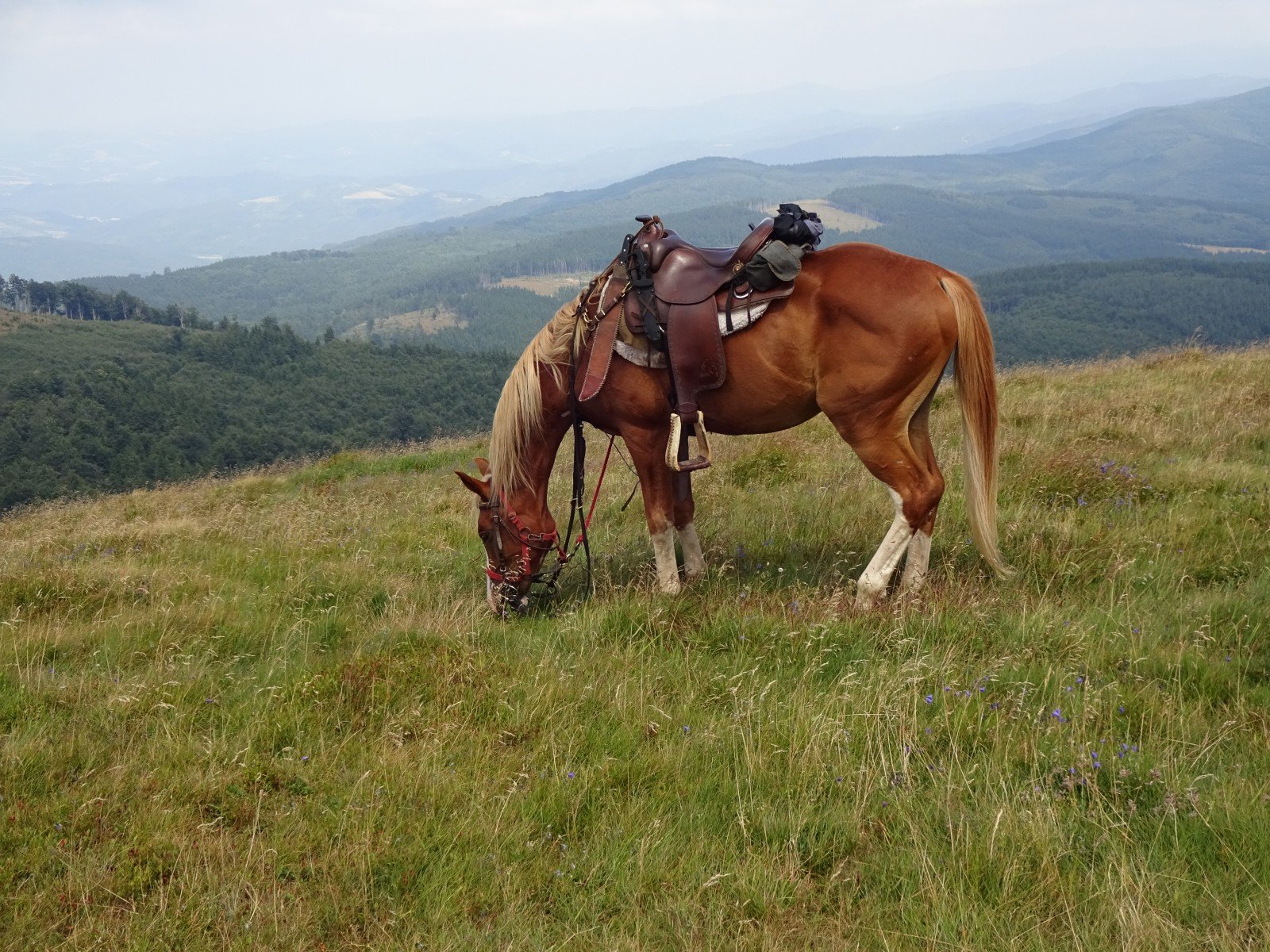 Central Balkan National Park - horseXperiences™ GO EQUESTRIAN