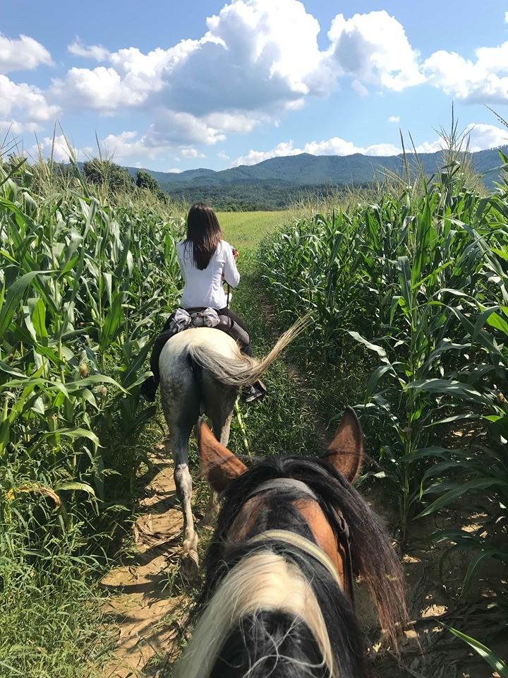 Central Balkan National Park - horseXperiences™ GO EQUESTRIAN