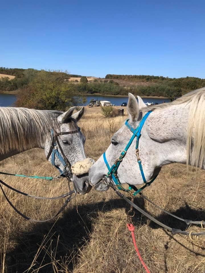 Central Balkan National Park - horseXperiences™ GO EQUESTRIAN