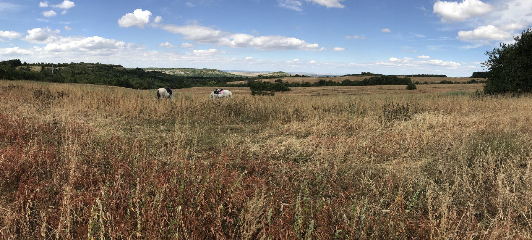 Magic Caves, Waterfalls & Castles - horseXperiences™ GO EQUESTRIAN