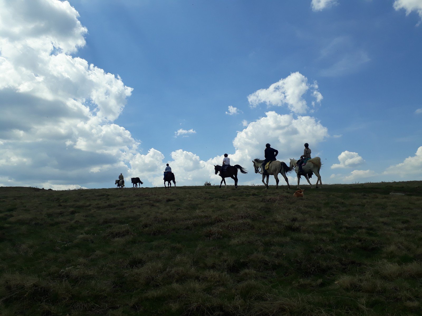 The Kingdom of The Thracians - horseXperiences™ GO EQUESTRIAN