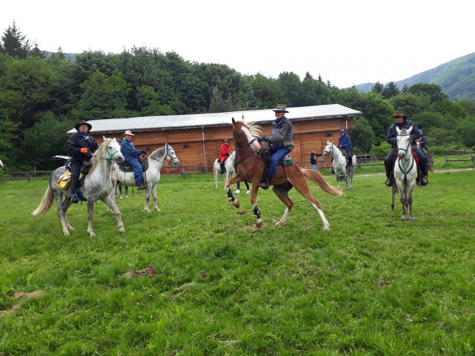 The Kingdom of The Thracians - horseXperiences™ GO EQUESTRIAN