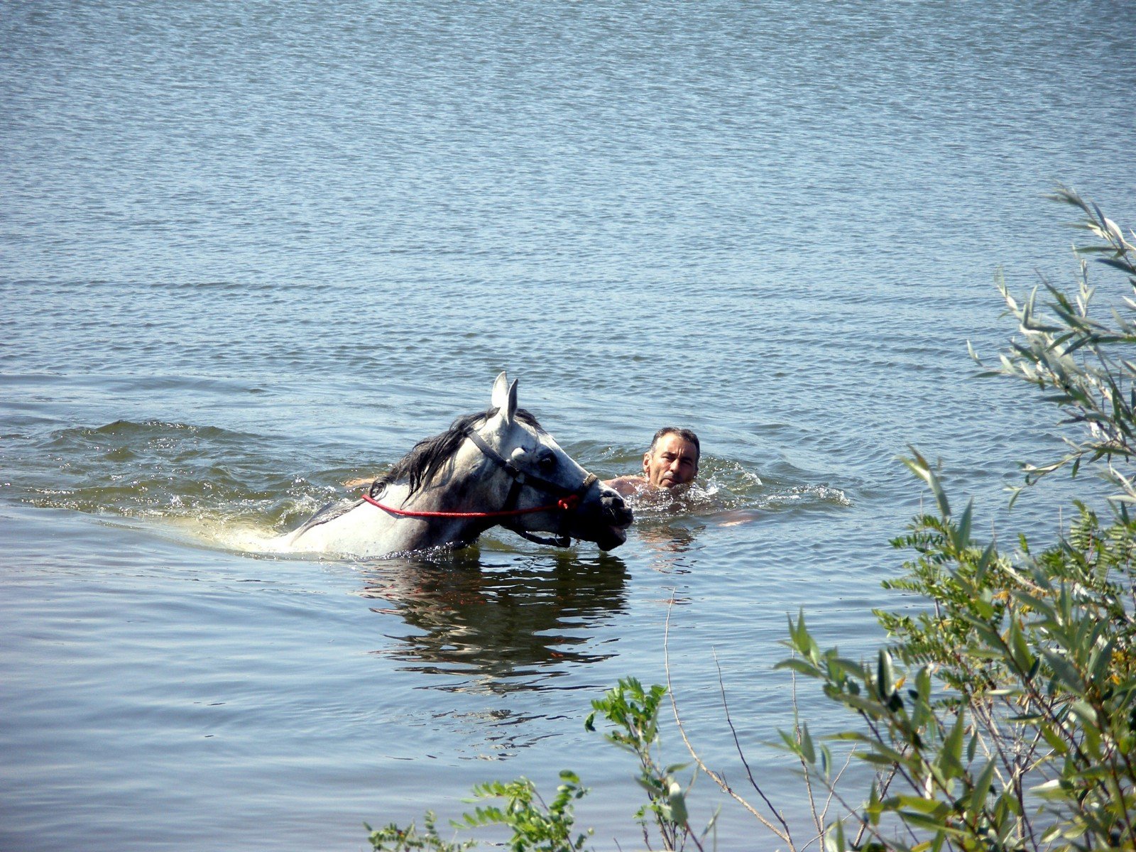 Magic Caves, Waterfalls & Castles - horseXperiences™ GO EQUESTRIAN