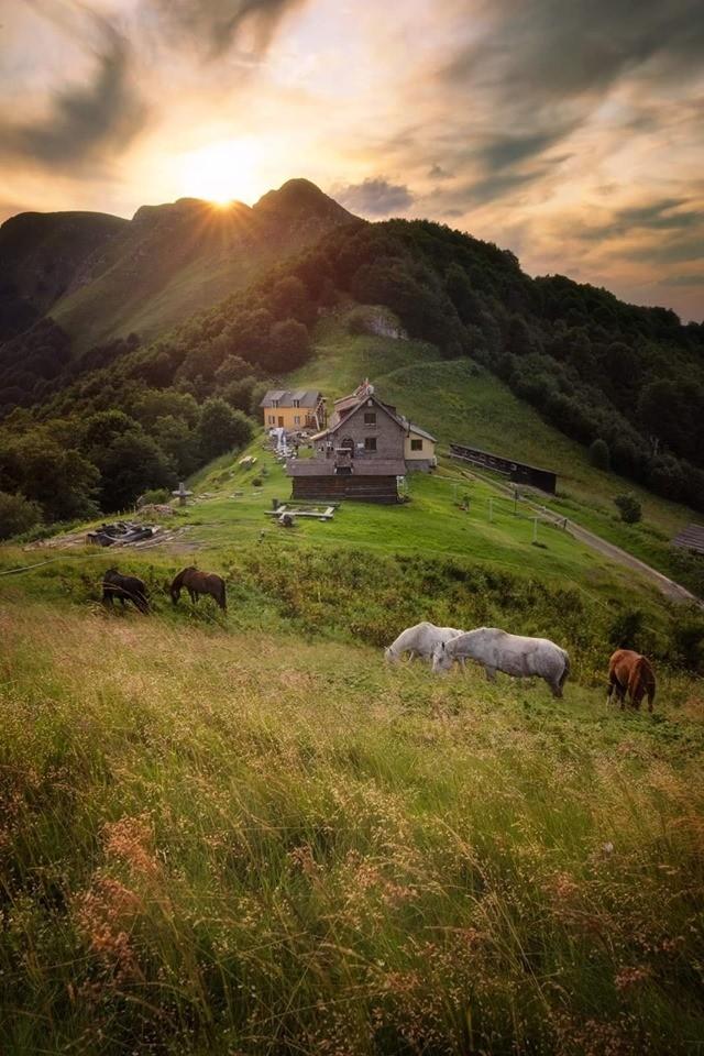Central Balkan National Park - horseXperiences™ GO EQUESTRIAN