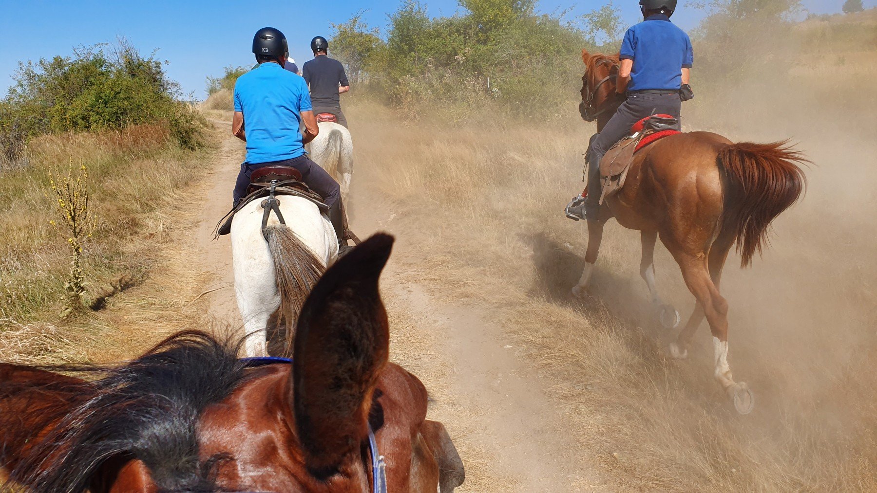 The Kingdom of The Thracians - horseXperiences™ GO EQUESTRIAN