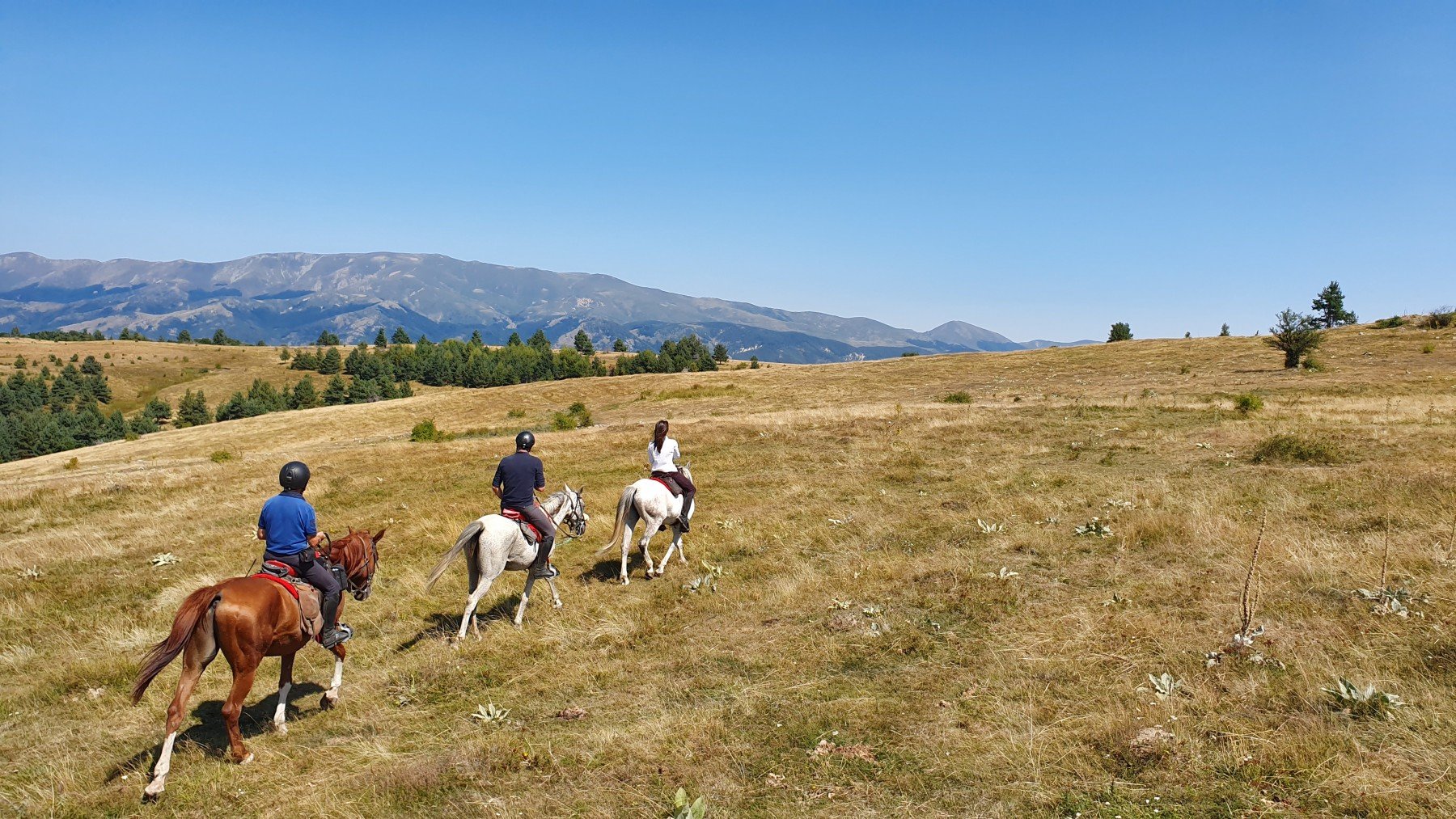 The Kingdom of The Thracians - horseXperiences™ GO EQUESTRIAN