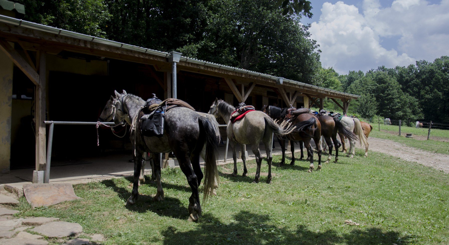 Tour in Medieval Bulgaria - horseXperiences™ GO EQUESTRIAN