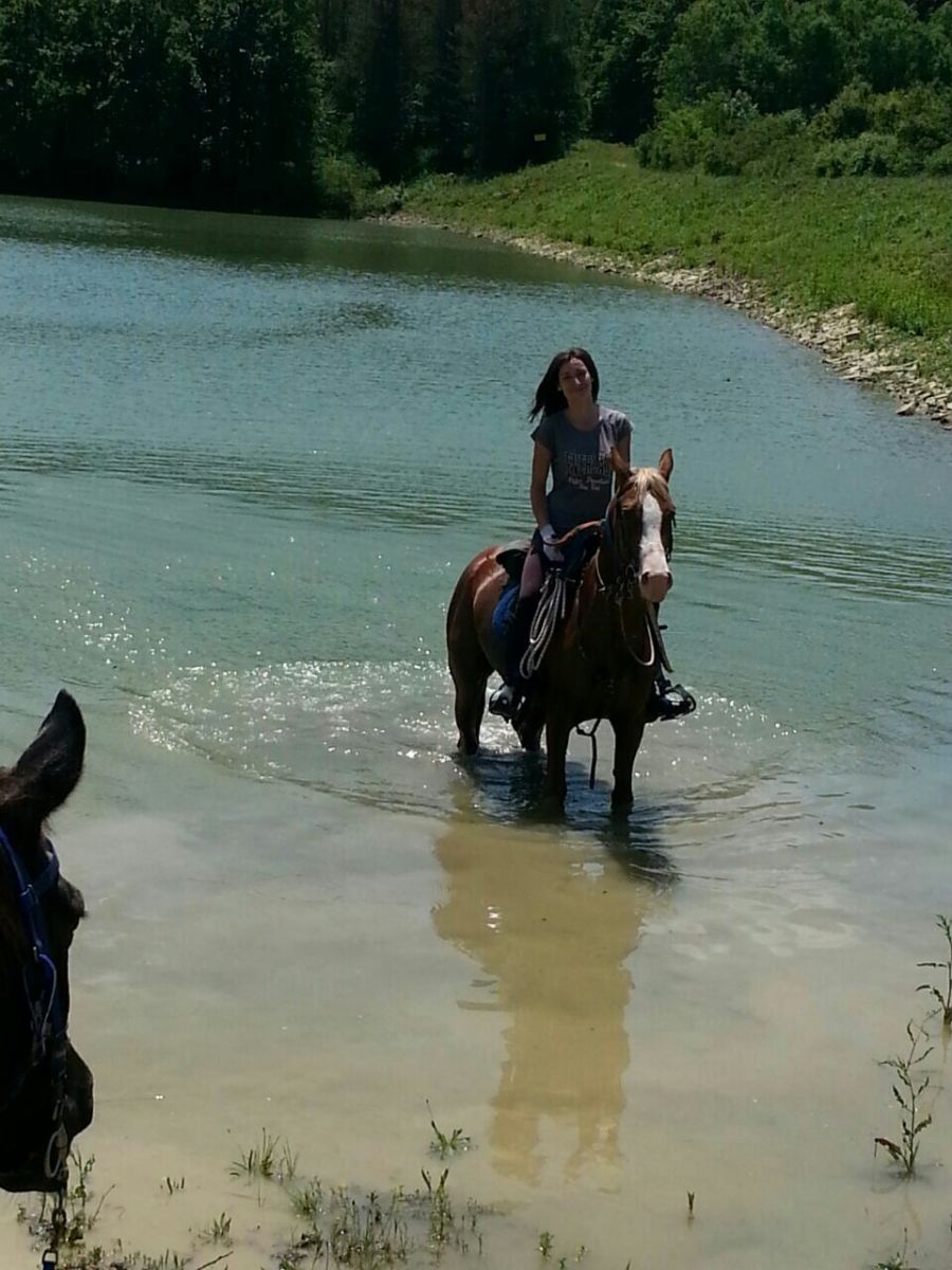 Magic Caves, Waterfalls & Castles - horseXperiences™ GO EQUESTRIAN