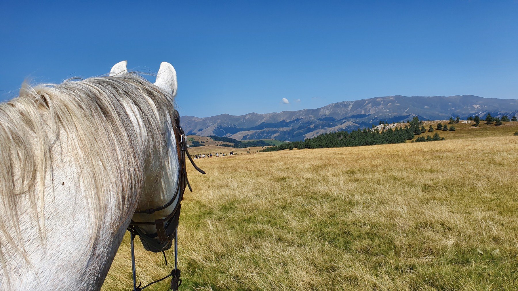 The Kingdom of The Thracians - horseXperiences™ GO EQUESTRIAN