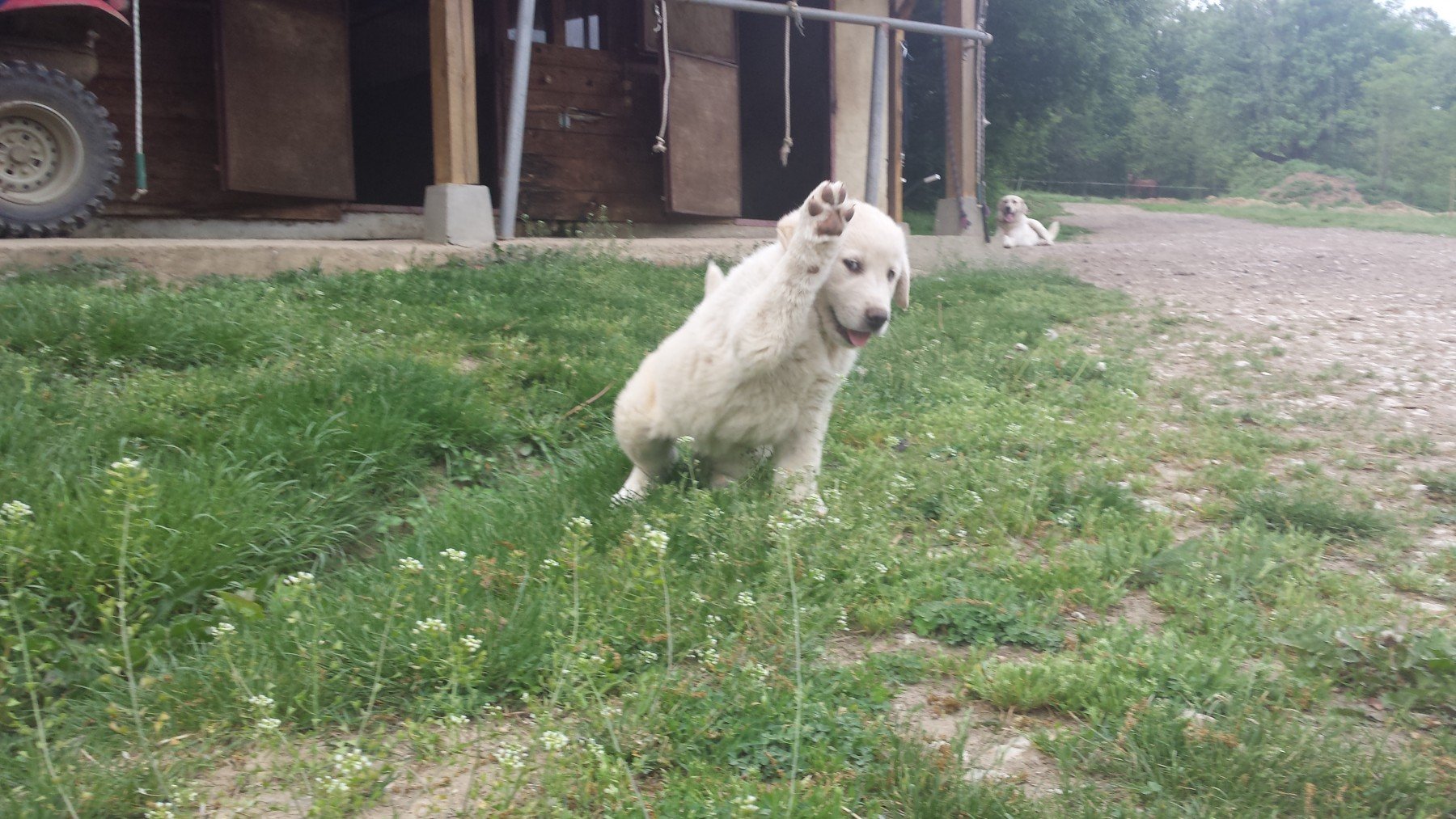 Central Balkan National Park - horseXperiences™ GO EQUESTRIAN