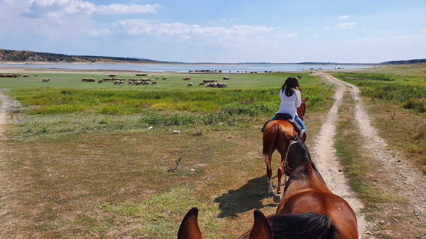 The Kingdom of The Thracians - horseXperiences™ GO EQUESTRIAN