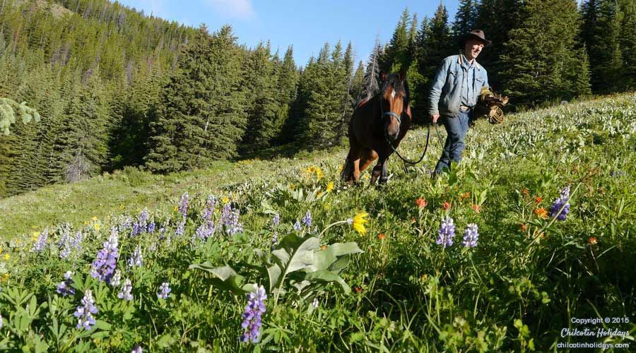 Pure Ranch eXperience - horseXperiences™ GO EQUESTRIAN