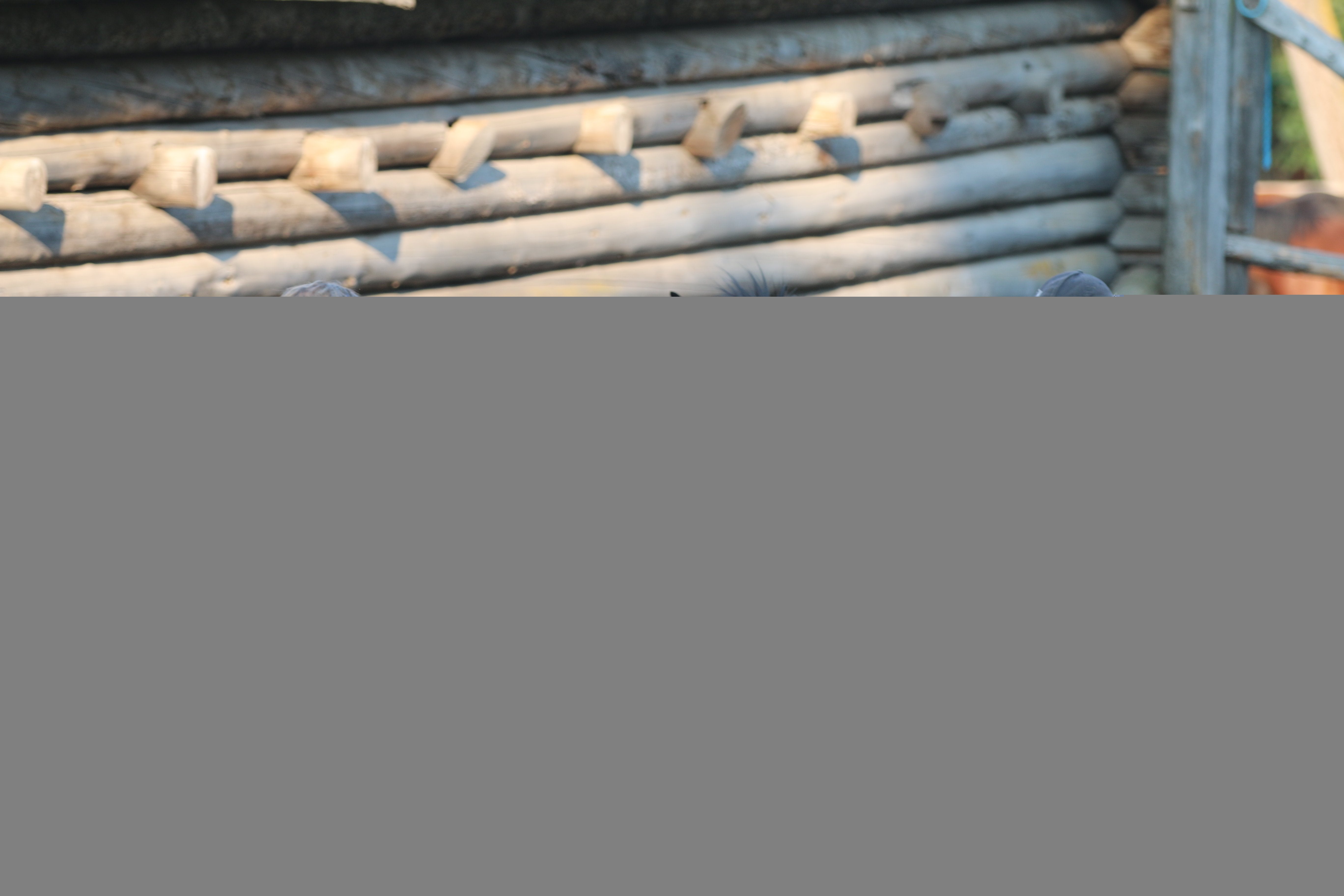 Pure Ranch eXperience - horseXperiences™ GO EQUESTRIAN