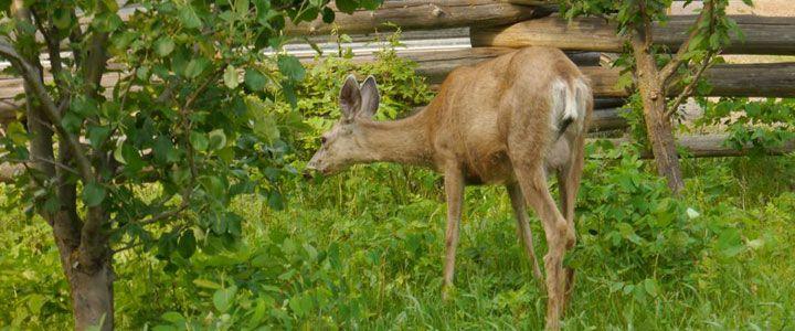 Pure Ranch eXperience - horseXperiences™ GO EQUESTRIAN