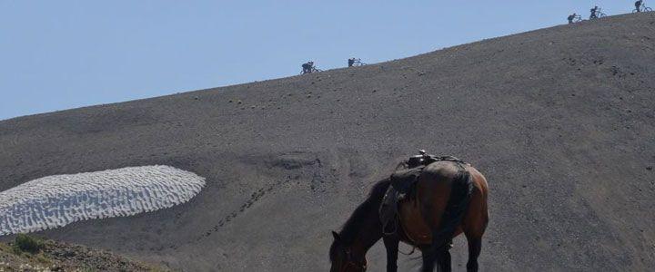 Pure Ranch eXperience - horseXperiences™ GO EQUESTRIAN