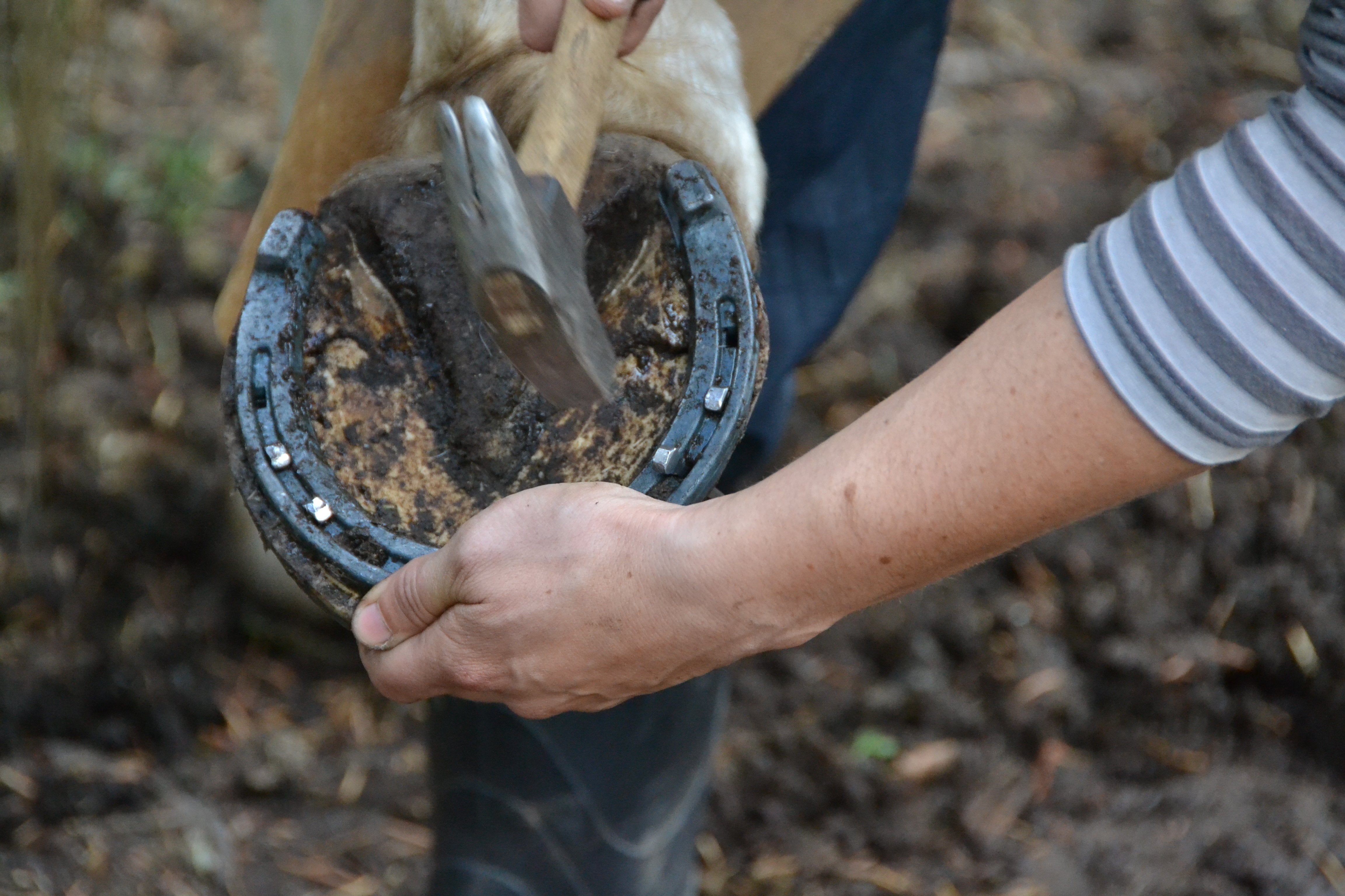 Pure Ranch eXperience - horseXperiences™ GO EQUESTRIAN