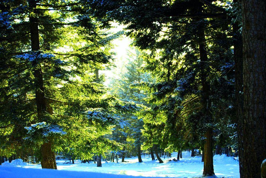 Wilderness eXplorer - horseXperiences™ GO EQUESTRIAN