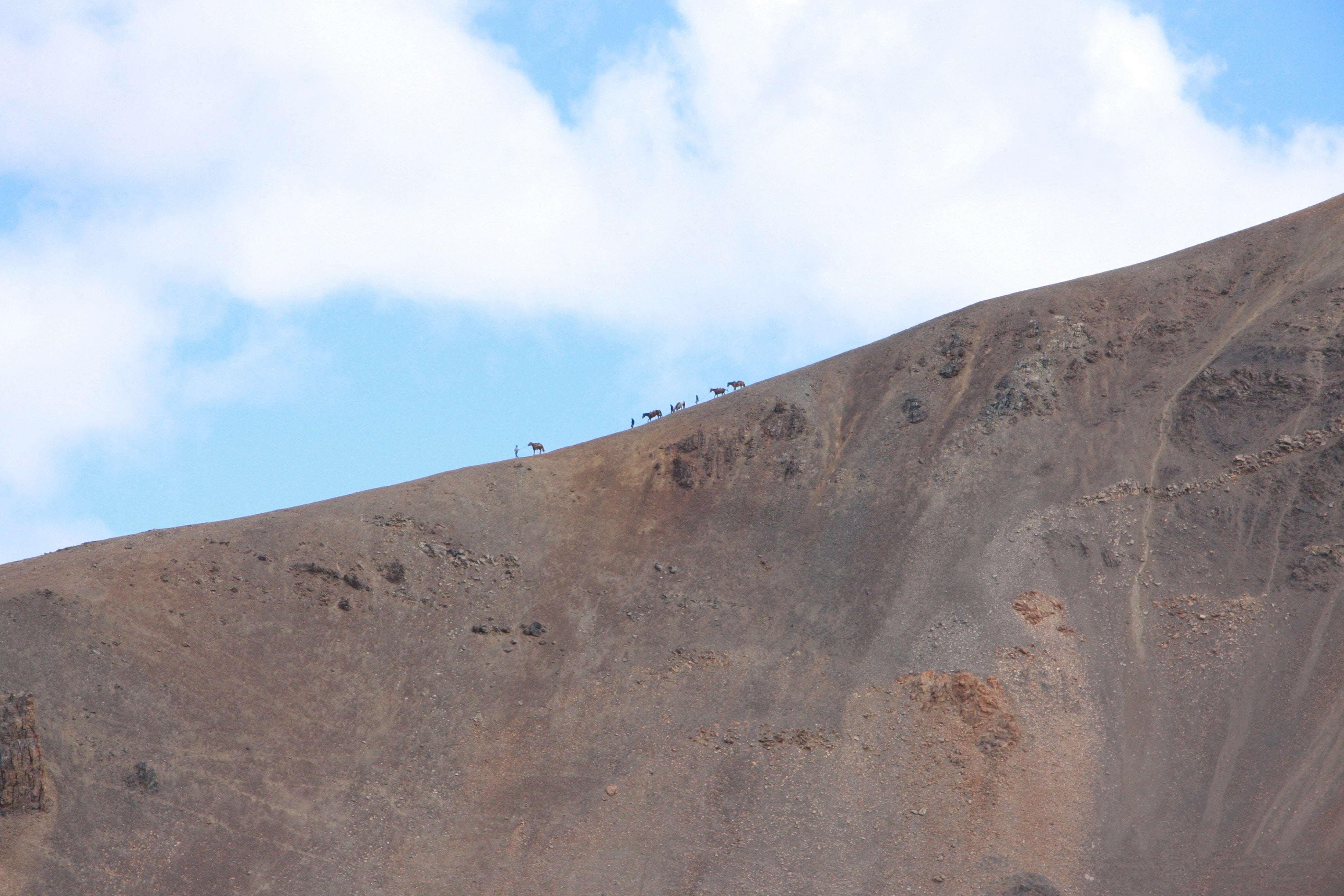 Wilderness eXplorer - horseXperiences™ GO EQUESTRIAN