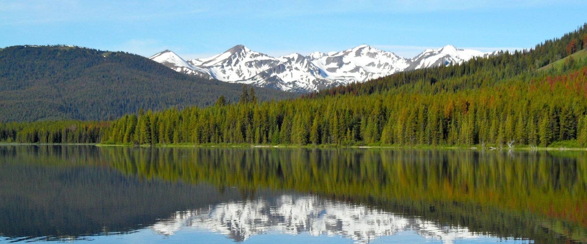 Grizzly Bear Research - horseXperiences™ GO EQUESTRIAN