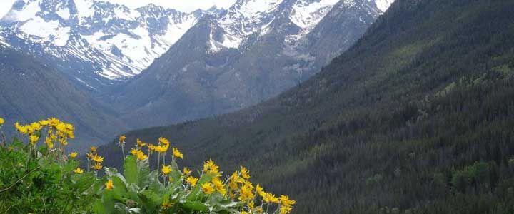 Wilderness eXplorer - horseXperiences™ GO EQUESTRIAN