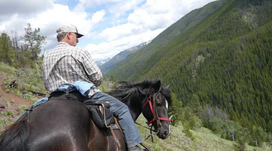 Grizzly Bear Research - horseXperiences™ GO EQUESTRIAN