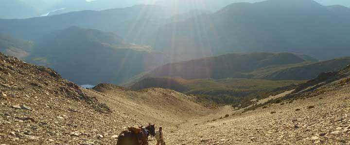 Wilderness eXplorer - horseXperiences™ GO EQUESTRIAN