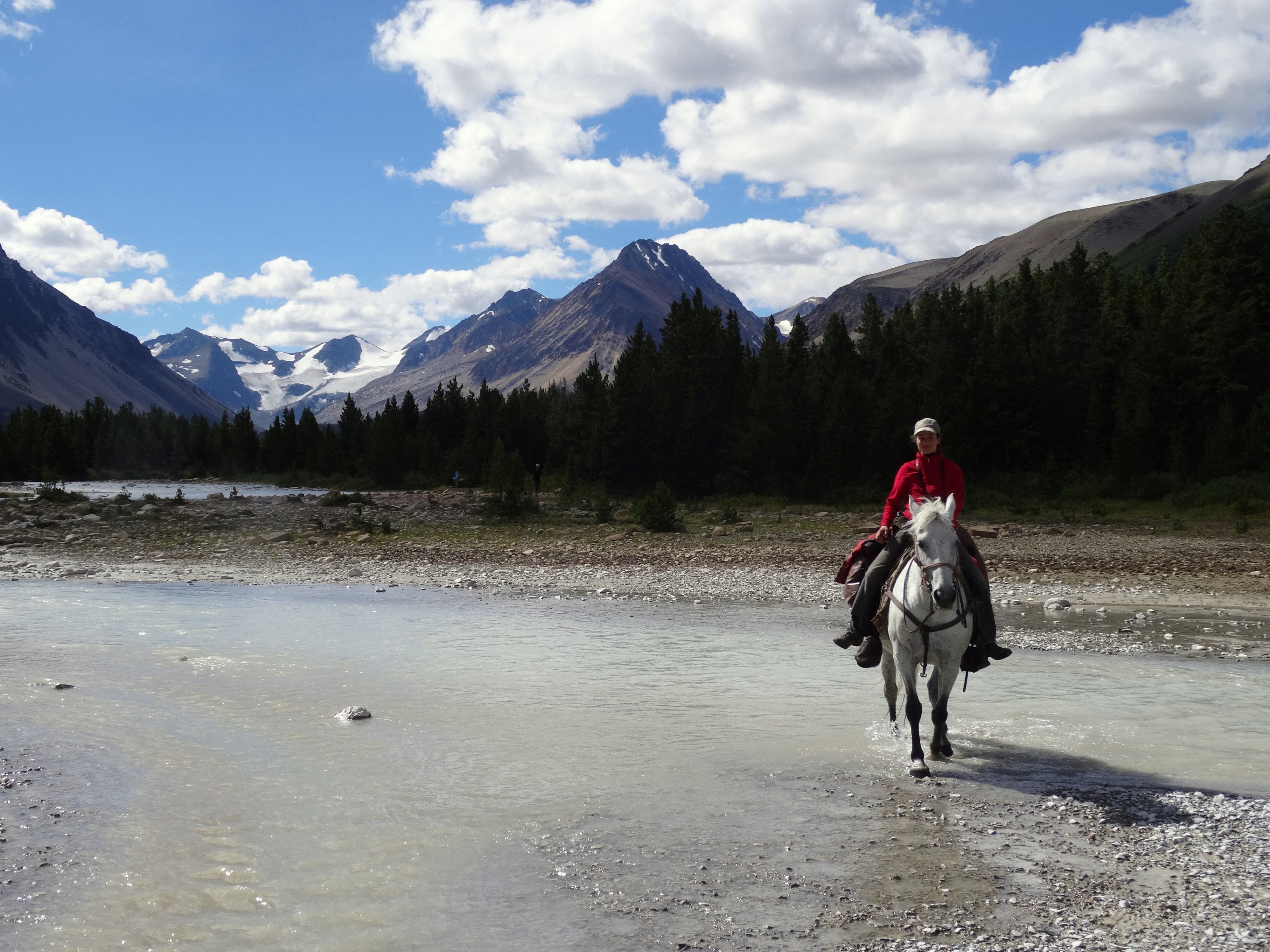 Grizzly Bear Research - horseXperiences™ GO EQUESTRIAN