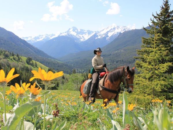 Wilderness eXplorer - horseXperiences™ GO EQUESTRIAN