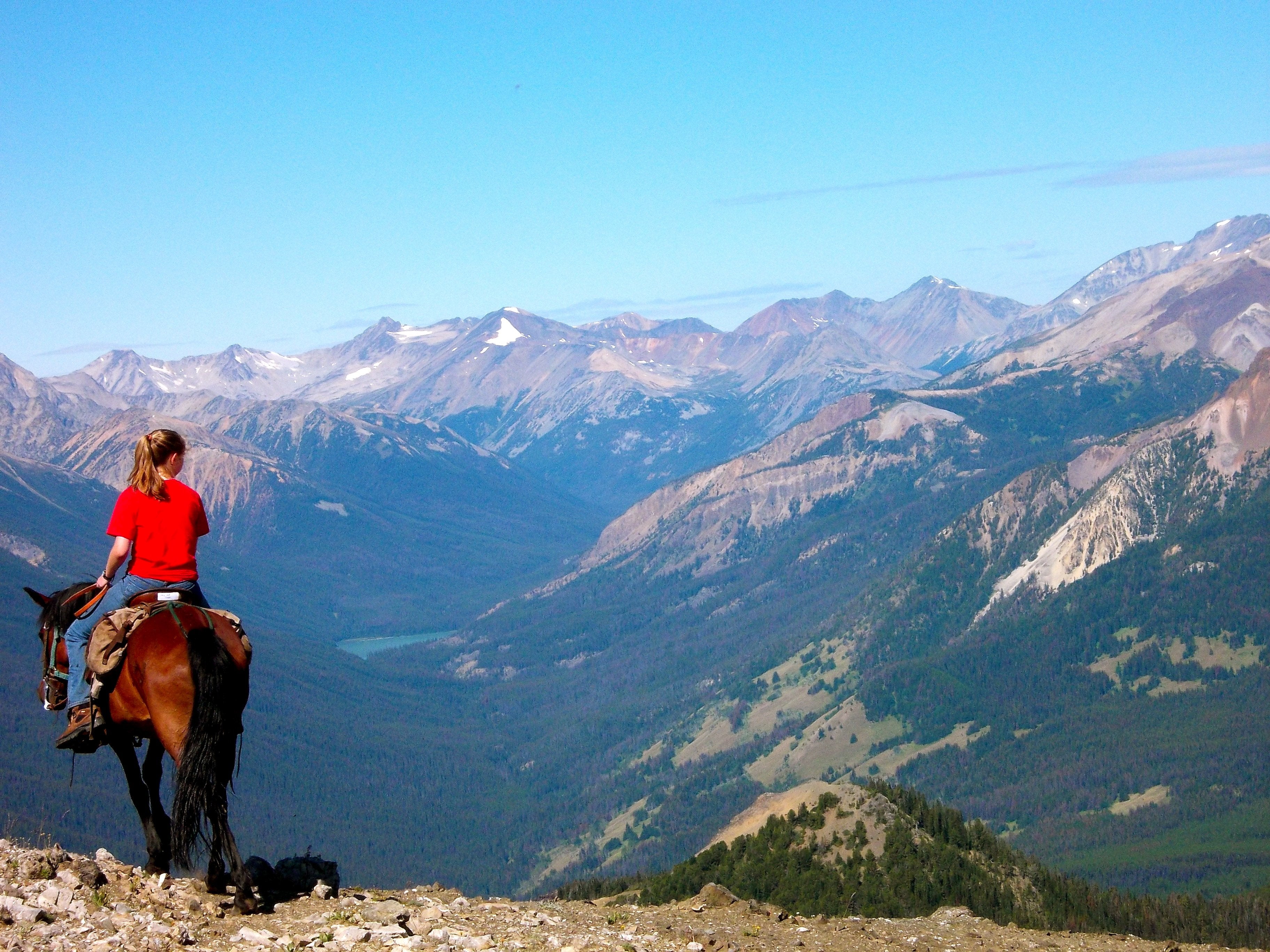 Grizzly Bear Research - horseXperiences™ GO EQUESTRIAN
