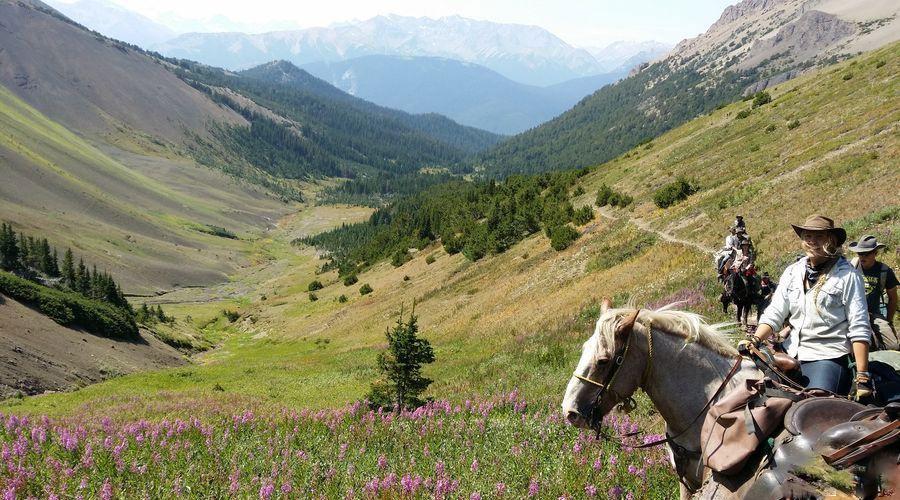 Wilderness eXplorer - horseXperiences™ GO EQUESTRIAN