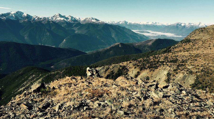 Grizzly Bear Research - horseXperiences™ GO EQUESTRIAN