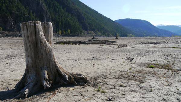 Wilderness eXplorer - horseXperiences™ GO EQUESTRIAN