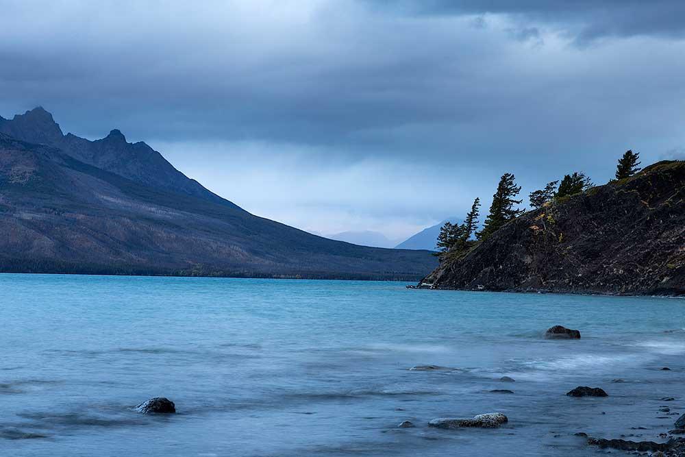 Grizzly Bear Research - horseXperiences™ GO EQUESTRIAN