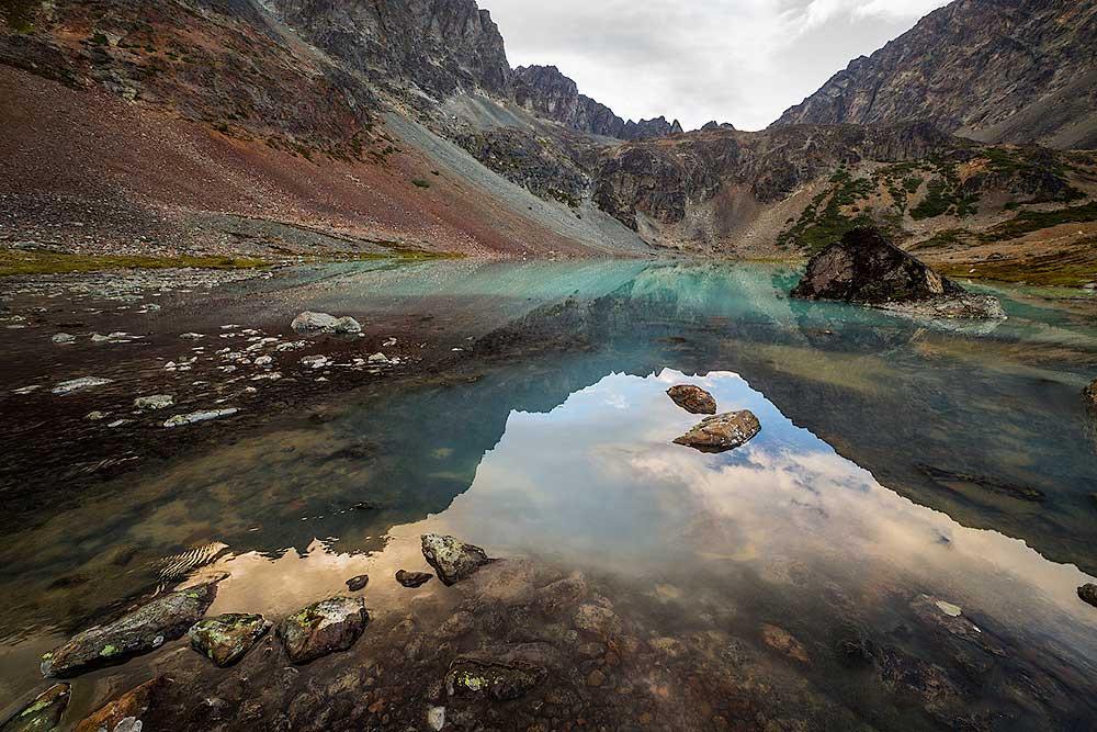 Grizzly Bear Research - horseXperiences™ GO EQUESTRIAN