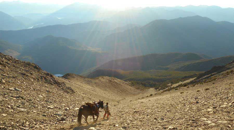 Wilderness eXplorer - horseXperiences™ GO EQUESTRIAN