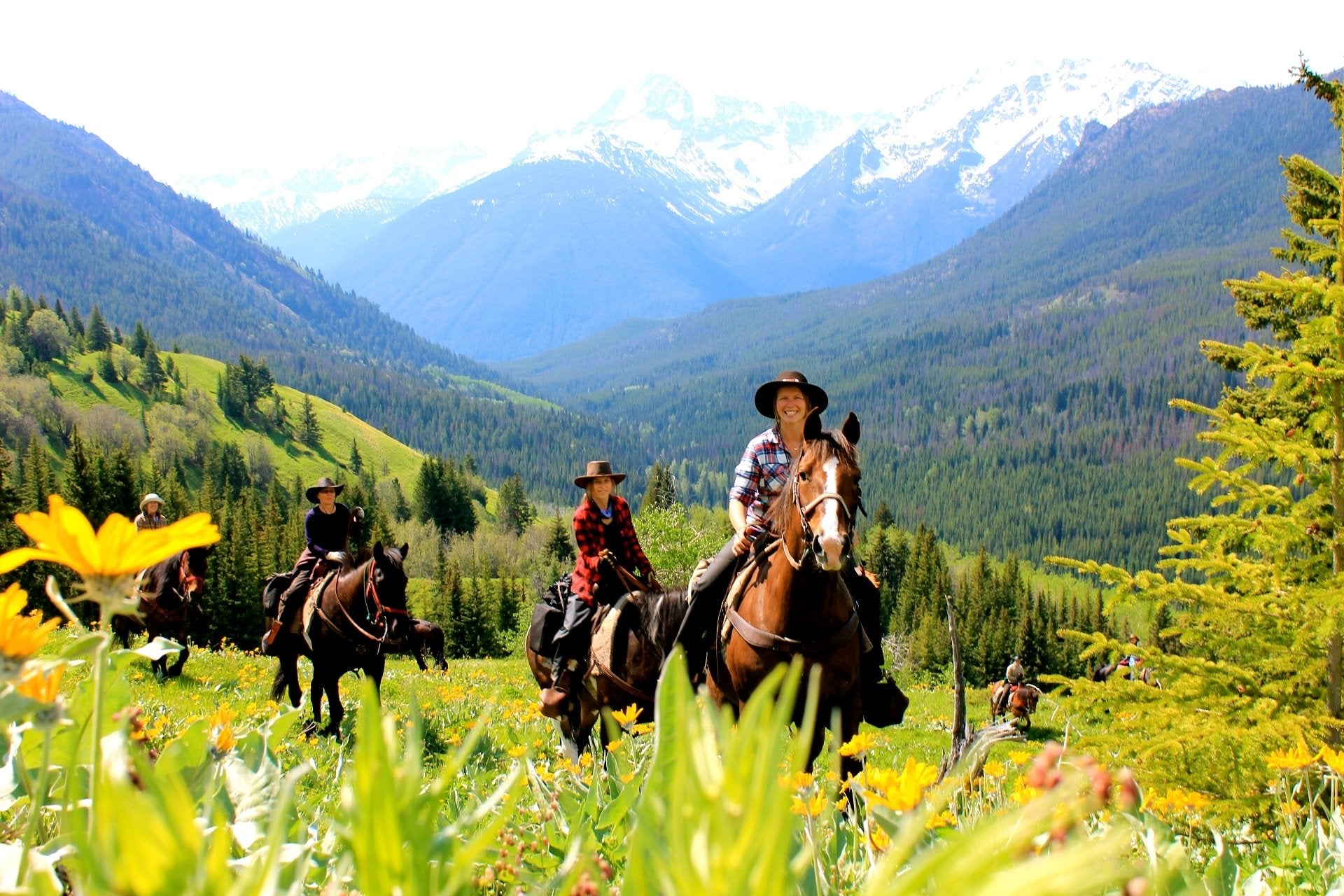 Wilderness eXplorer - horseXperiences™ GO EQUESTRIAN