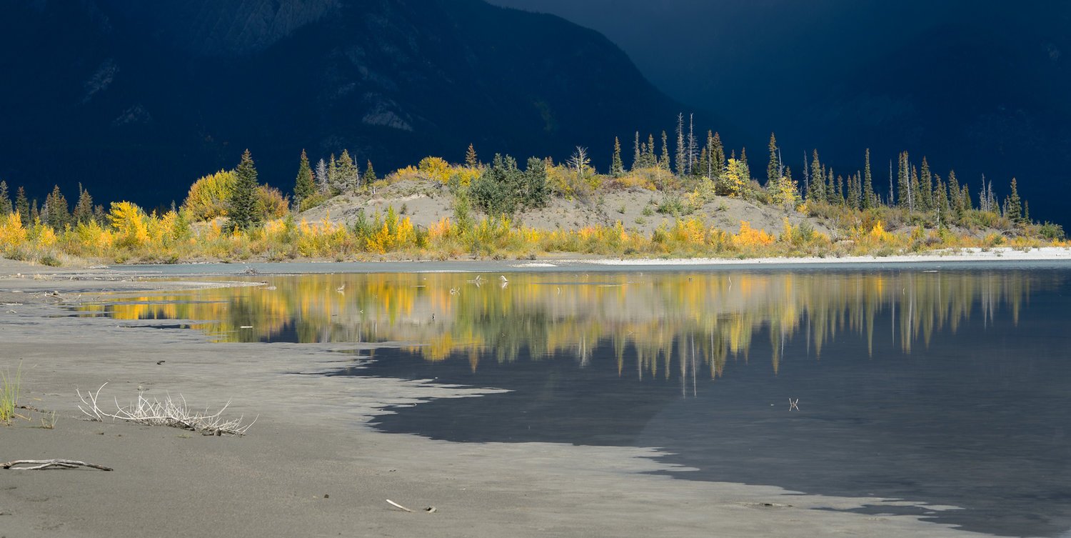 Grizzly Bear Research - horseXperiences™ GO EQUESTRIAN