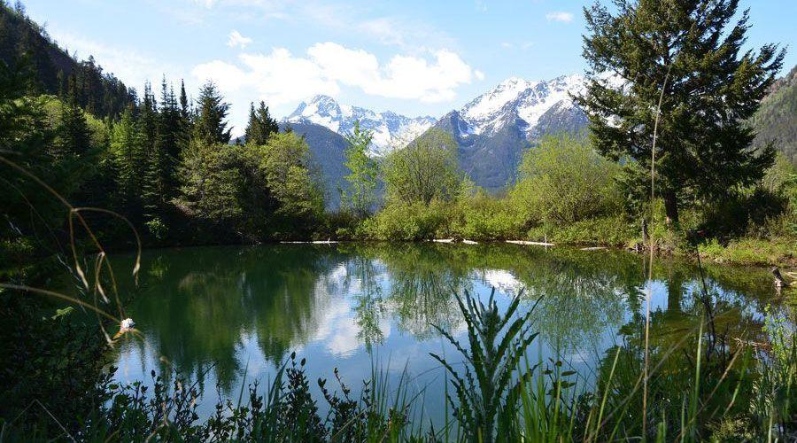 Wilderness eXplorer - horseXperiences™ GO EQUESTRIAN