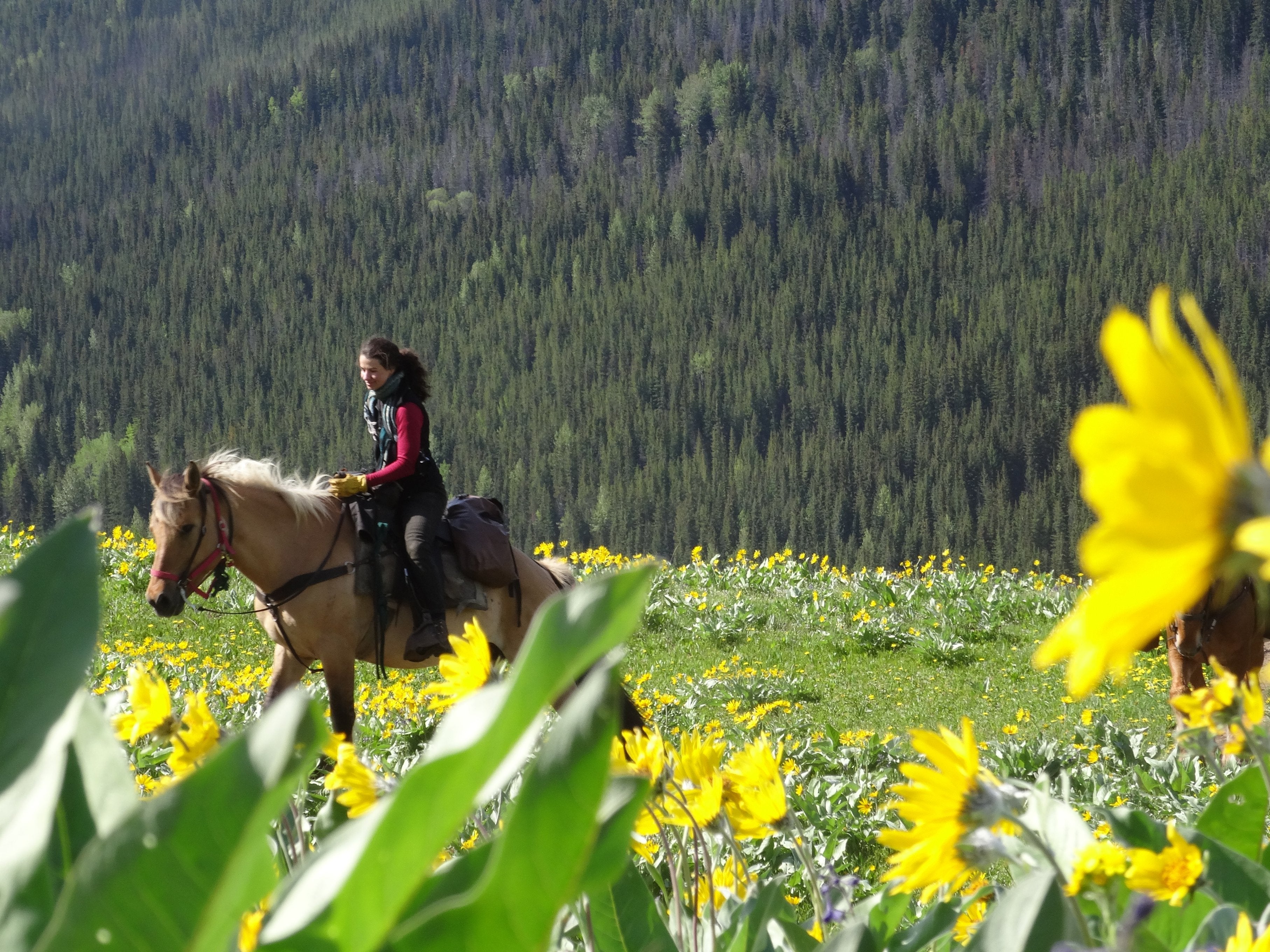 Wilderness eXplorer - horseXperiences™ GO EQUESTRIAN