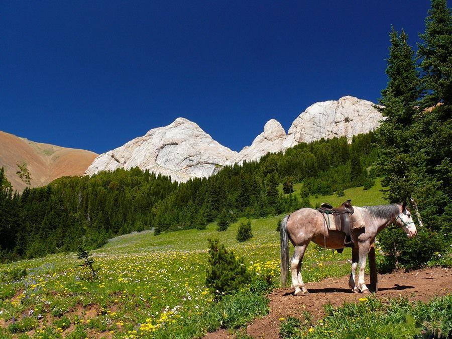 Wilderness eXplorer - horseXperiences™ GO EQUESTRIAN