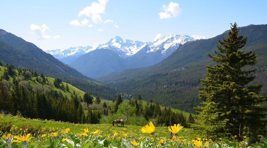 Wilderness eXplorer - horseXperiences™ GO EQUESTRIAN