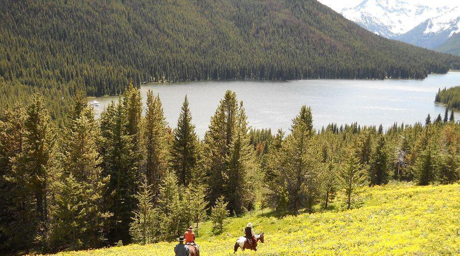 Wilderness eXplorer - horseXperiences™ GO EQUESTRIAN