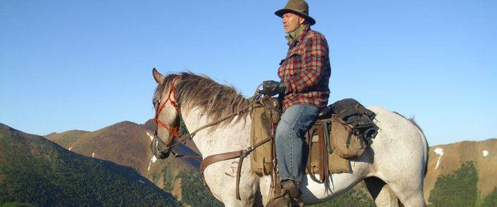 Bighorn Sheep Tracking - horseXperiences™ GO EQUESTRIAN