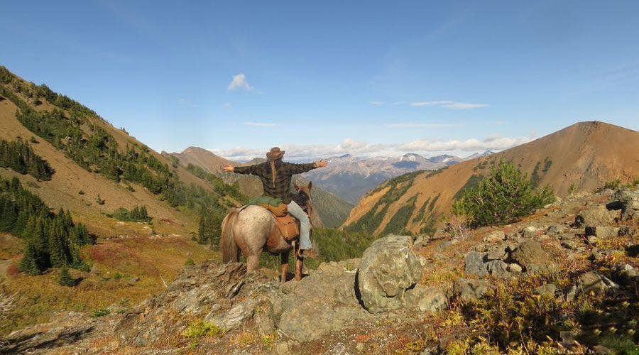 Bighorn Sheep Tracking - horseXperiences™ GO EQUESTRIAN