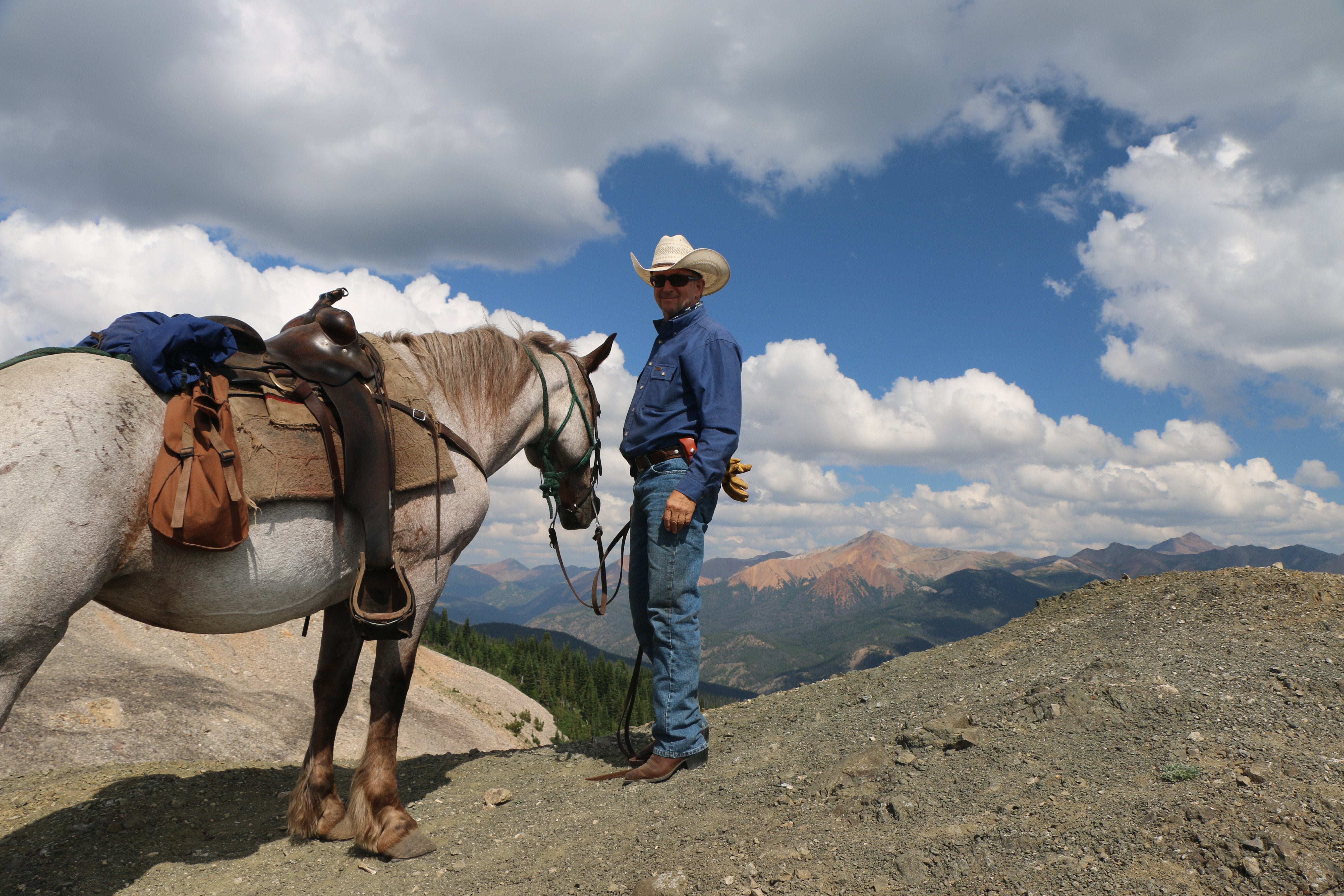 Bighorn Sheep Tracking - horseXperiences™ GO EQUESTRIAN