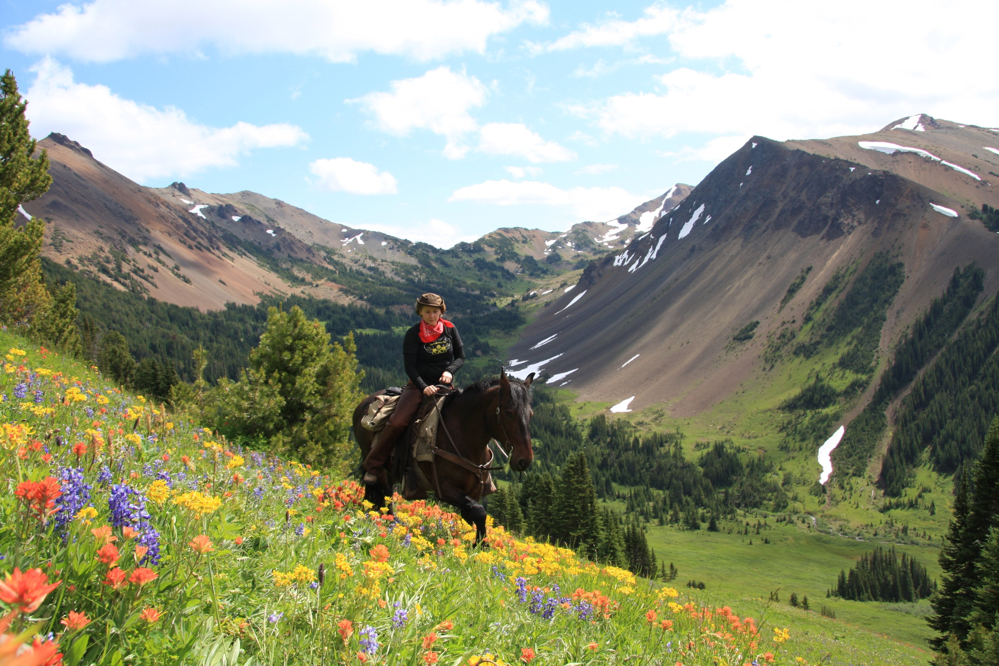 Wildlife Tracking & Conservation - horseXperiences™ GO EQUESTRIAN