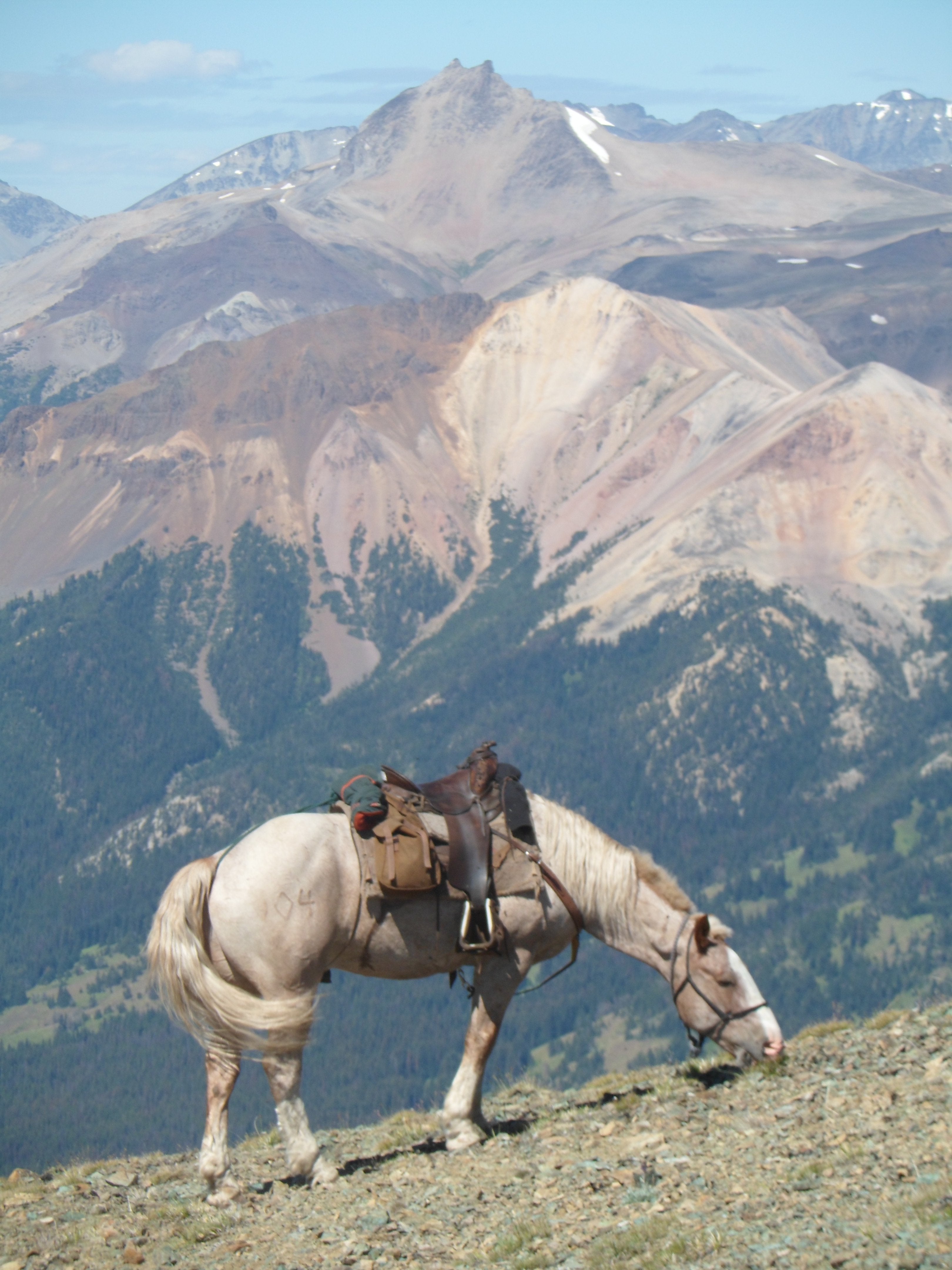 Wildlife Tracking & Conservation - horseXperiences™ GO EQUESTRIAN