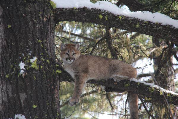 Wildlife Tracking & Conservation - horseXperiences™ GO EQUESTRIAN